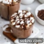 two glass mugs of gluten-free hot chocolate with marshmallows, chocolate syrup, and chocolate shavings