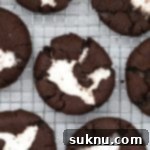 Fudgy Gluten-Free Hot Cocoa Cookies 12 Gluten-free hot chocolate cookies cooling on a wire rack