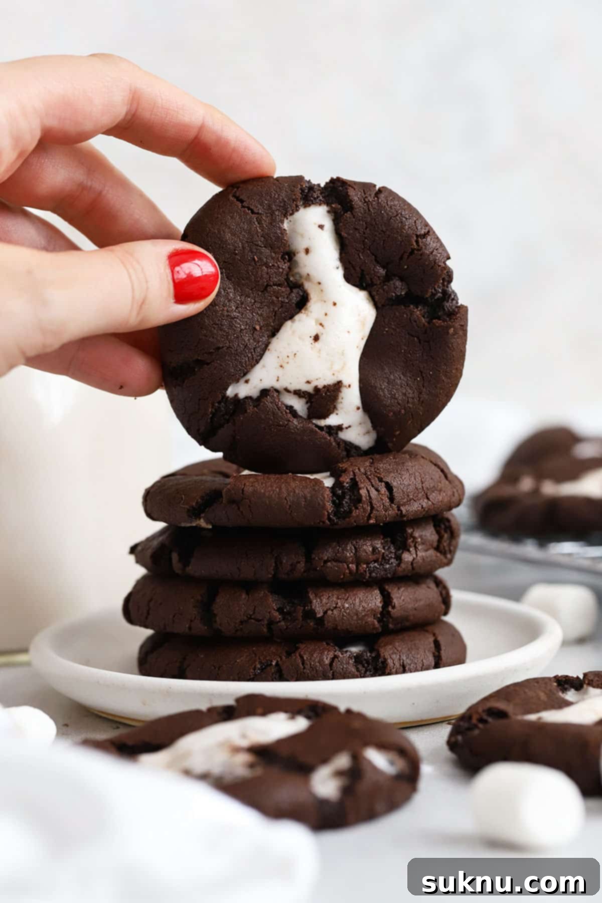 Fudgy Gluten-Free Hot Cocoa Cookies 7 Gluten-free hot chocolate cookies stacked on a white plate