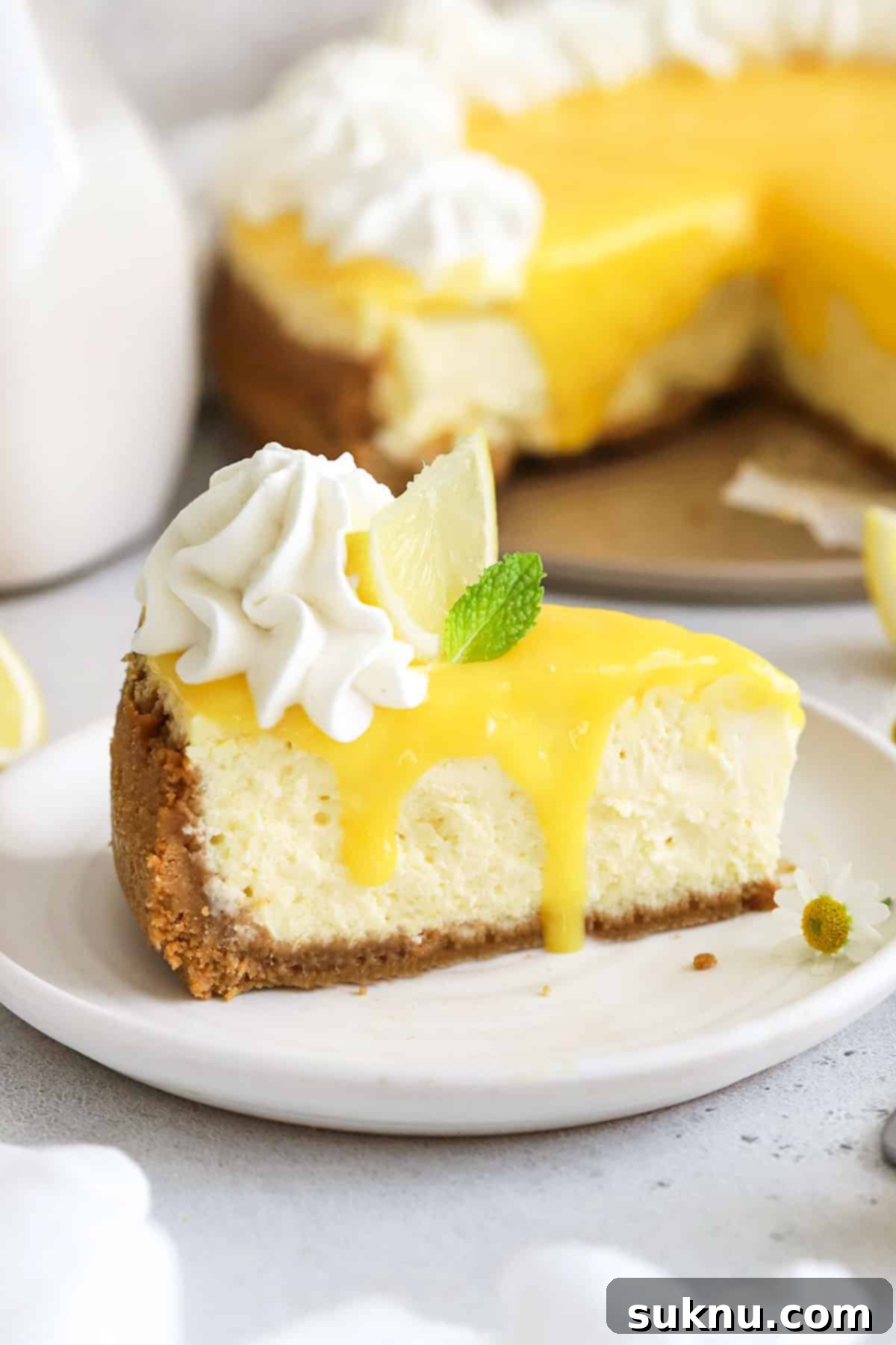 A freshly cut slice of gluten-free lemon cheesecake, showcasing its layers of crust, filling, curd, and whipped cream.